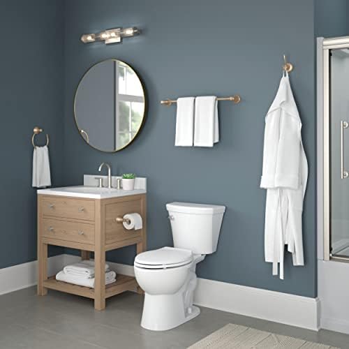 Delta Cassidy Toilet Paper Holder Elegant Design - champagne bronze